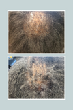 African Chebe Anti breakage OIl